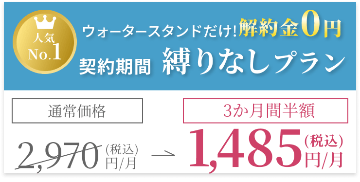 縛りなしプラン