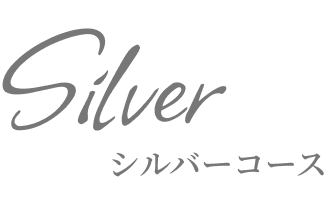 シルバーコース