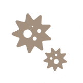 ウイルス