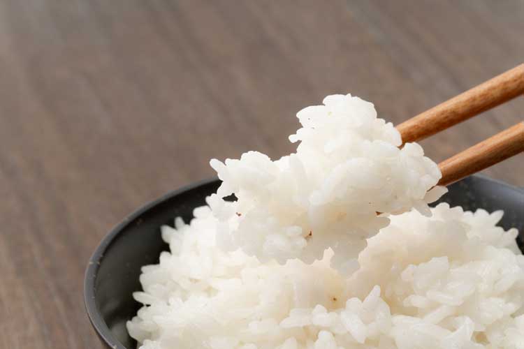 ご飯をもっとおいしく！ウォータースタンドの水でおいしく炊飯