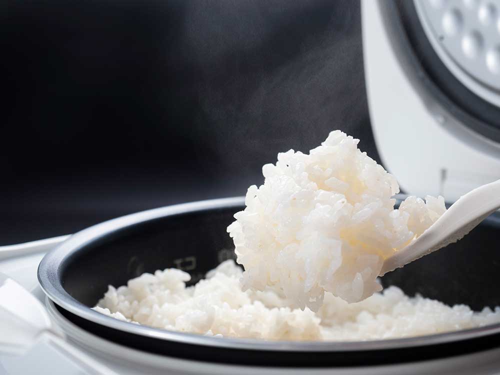 炊飯器炊き