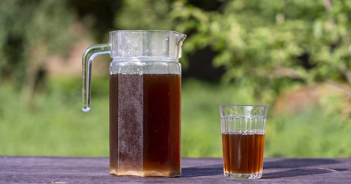 麦茶は水分補給にダメって本当?