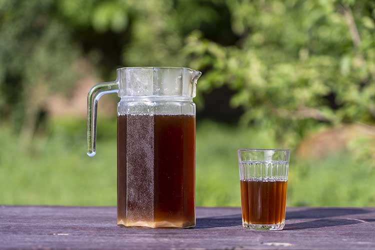 麦茶は水分補給にダメって本当？正しい飲み方と作り方の注意点