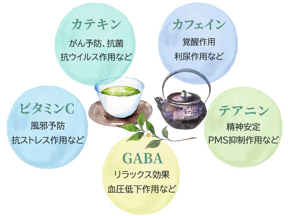 緑茶の成分と効果・効能