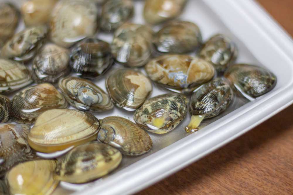 知って納得！海水の『性質』を暮らしに活かす＆比べる