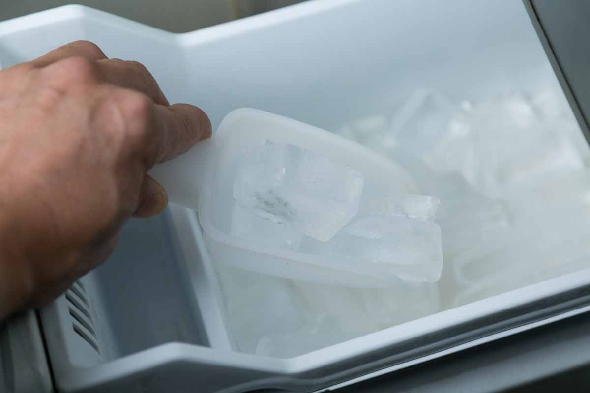 自動製氷機で作った氷